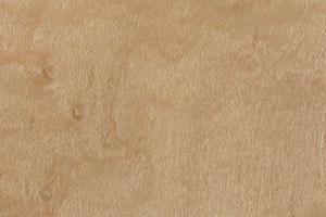 Bird's Eye Maple by Pacific Traders
